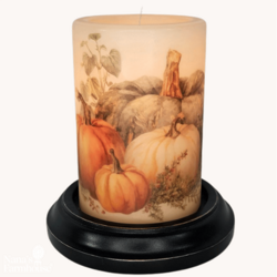Autumn Cinderella Pumpkins Candle Sleeve - Antique Vanilla