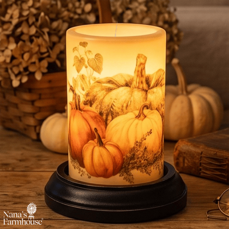 Autumn Cinderella Pumpkins Candle Sleeve - Antique Vanilla