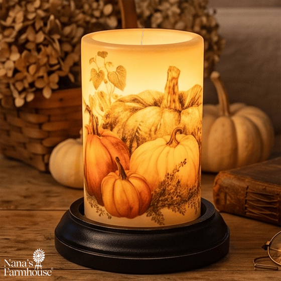 Autumn Cinderella Pumpkins Candle Sleeve - Antique Vanilla