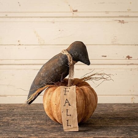 Crow On Fall Pumpkin