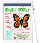 iPad Mini