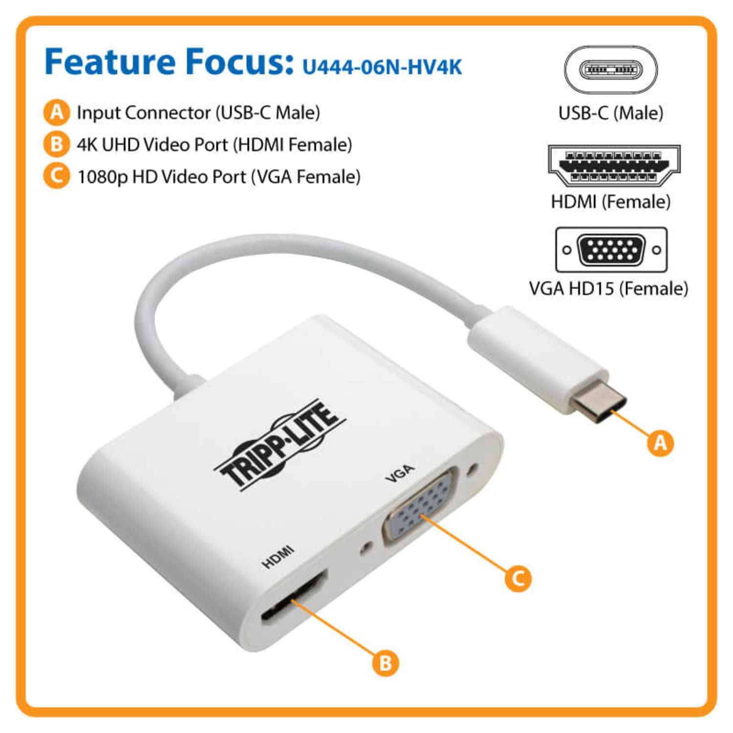 Skilt Afslag karakterisere Tripp Lite USB C to HDMI / VGA Multiport Adapter Converter 4K, USB Type C,  USB-C, USB Type-C - kite+key, Rutgers Tech Store