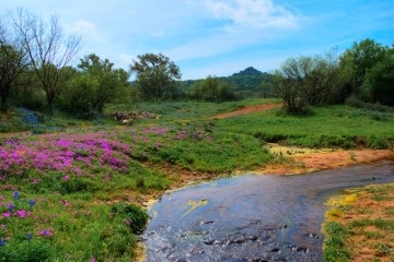 Hill Country