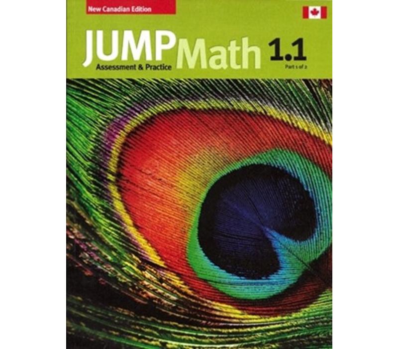 Jump Math 1.1
