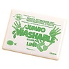 CENTER ENTERPRISES Lime Green Jumbo Washable Stamp Pad