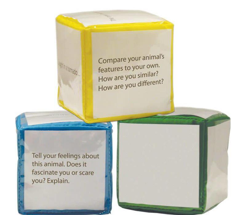Differentiated Instruction Cubes *
