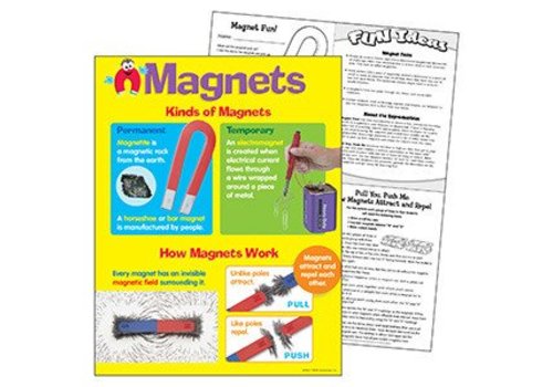 Trend Enterprises Kinds of Magnets Poster*
