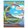 Trend Enterprises The Water Cycle Poster (D)*