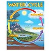 Trend Enterprises The Water Cycle Poster