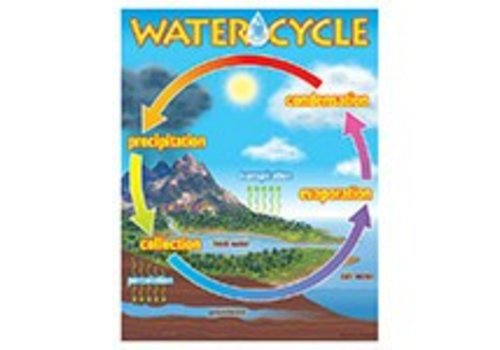 Trend Enterprises The Water Cycle Poster*