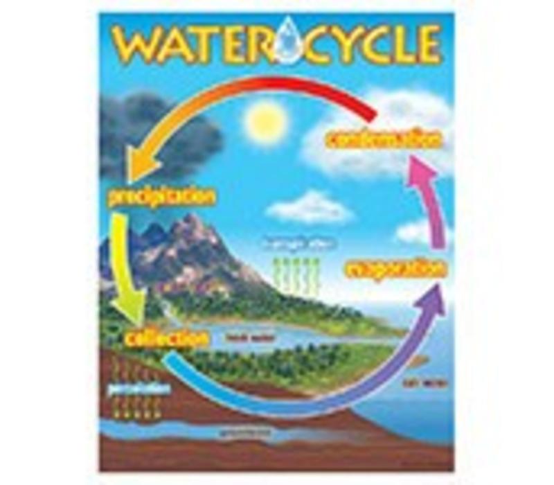 The Water Cycle Poster (D)*