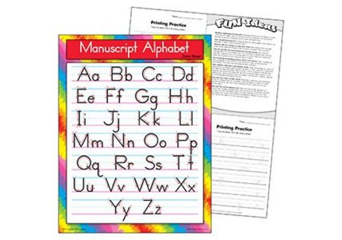 Trend Enterprises Manuscript Alphabet Zaner-Bloser Poster*