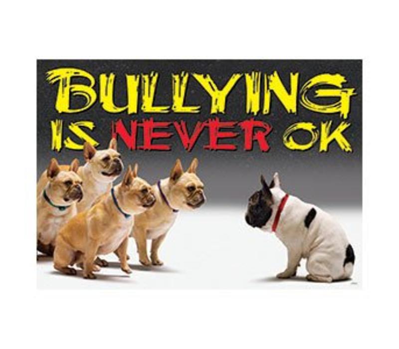 Bullying is never OK Poster