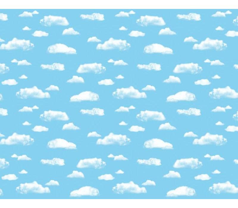 Fadeless Paper 4ft x 12 ft - Clouds*