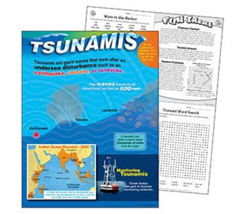 Tsunamis poster (D)*