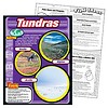 Trend Enterprises Tundras Poster (D)*