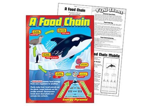 Trend Enterprises A Food Chain Poster*