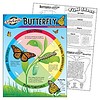 Trend Enterprises Life Cycle of a Butterfly Poster