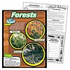 Trend Enterprises Forests Poster (D)*