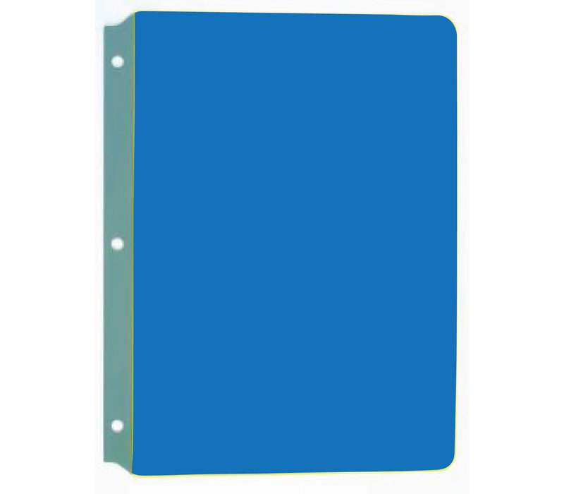 Full page Reading Guide - BLUE*