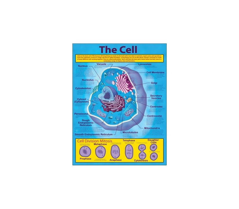 Cell Chart