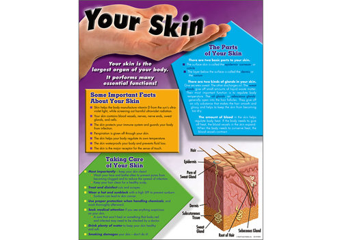 Carson Dellosa Your Skin Chart* (D)