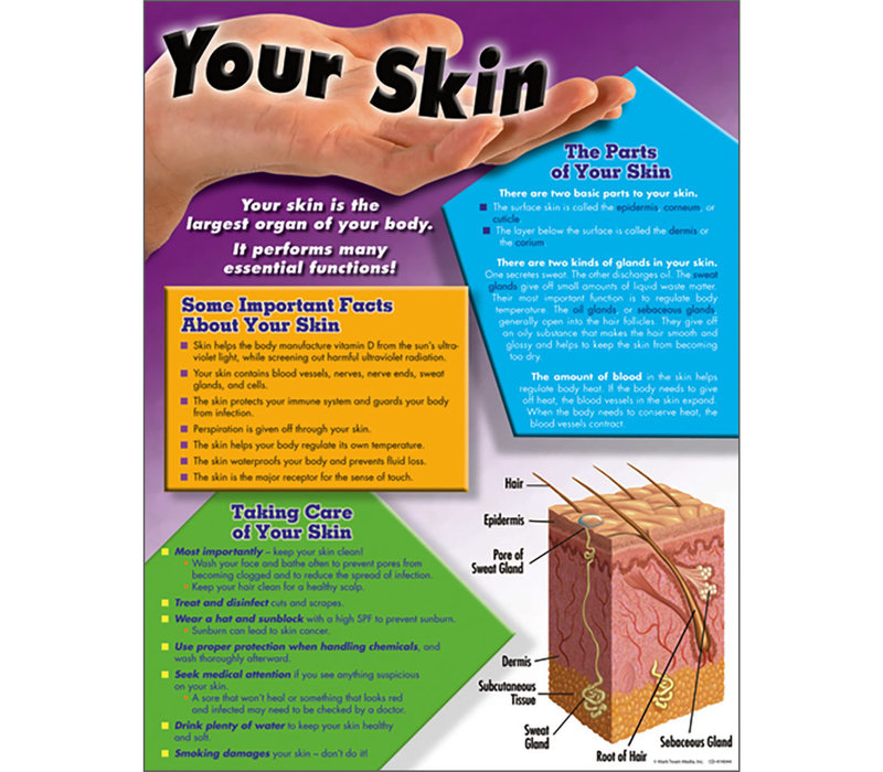 Your Skin Chart* (D)