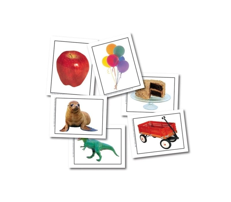 Alphabet Photo Objects Learning Cards * (D)