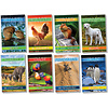 Growing in Character Bulletin Board Set
