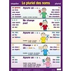 Le pluriel des noms poster*