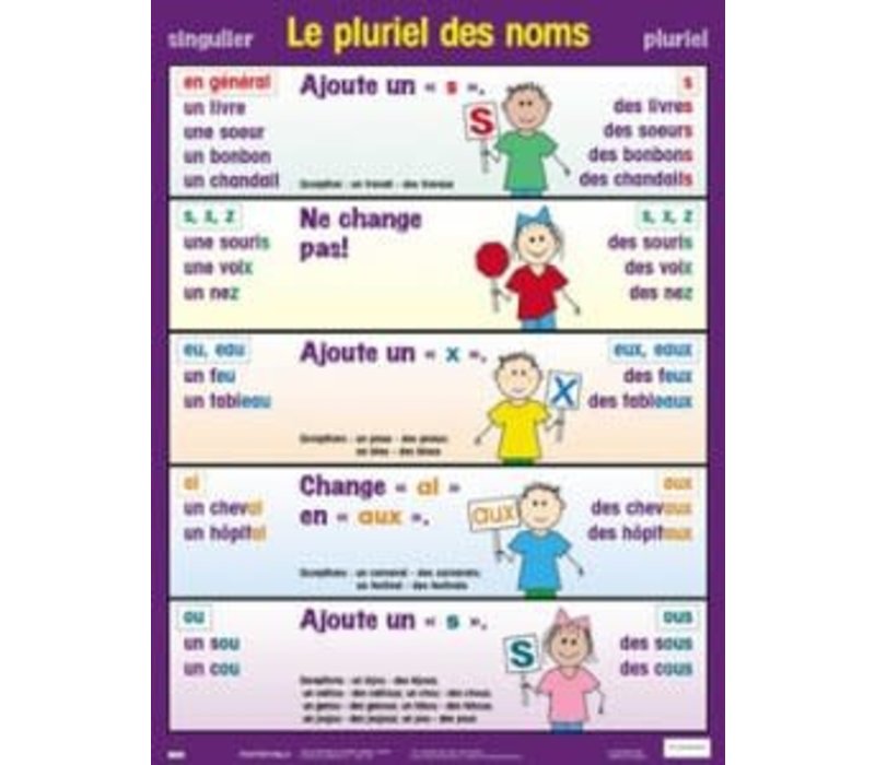 Le Pluriel Des Noms Poster Learning Tree Educational Store Inc