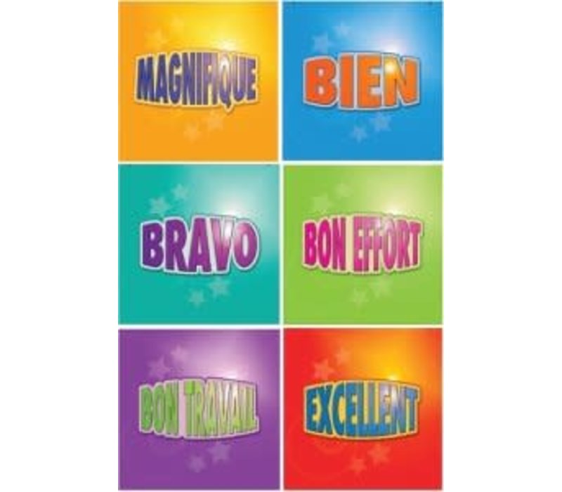French Motivational Stickers-Multipack