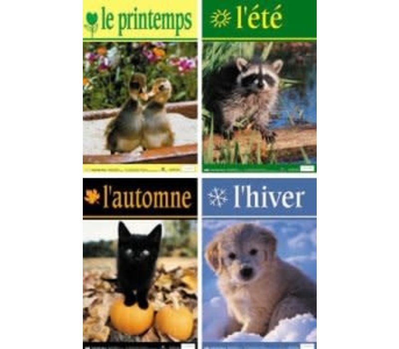 French Photo Poster Set - Seasons