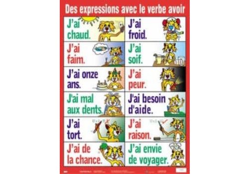 POSTER PALS Des expressions avec le verbe avoir poster