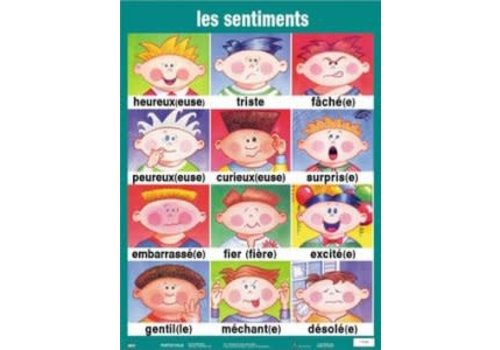 POSTER PALS Les sentiments french poster*