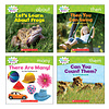 Scholastic Nonfiction Sight Word Readers - Level C*