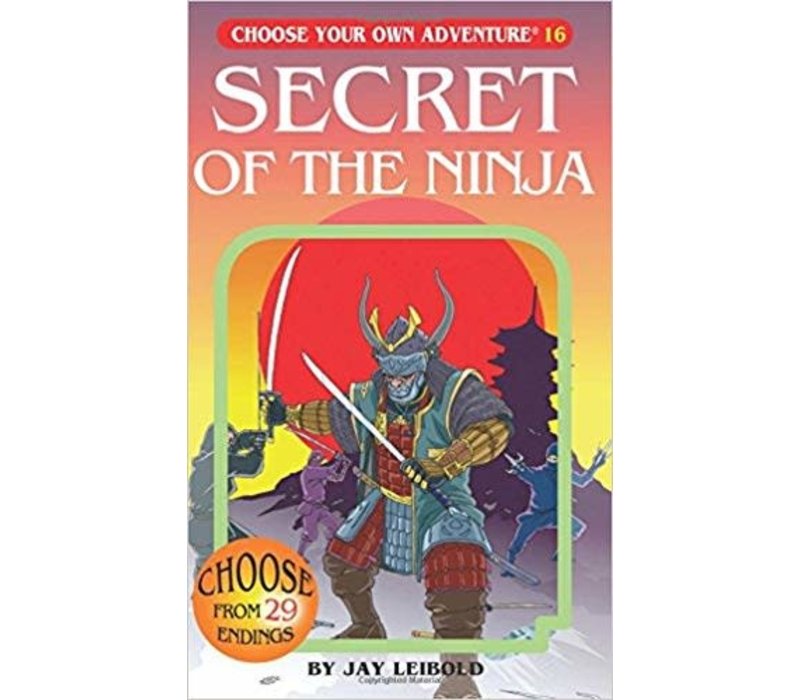 Choose Your Own Adventure Books -Secret Of The Ninja*