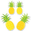 Creative Teaching Press Palm Paradise Pineapple Party 6 Inch Designer Cut-Outs