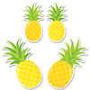 Palm Paradise Pineapple Party 6 Inch Designer Cut-Outs*