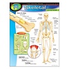 Trend Enterprises The Human Body-Skeletal System