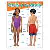 Trend Enterprises Parts of the Body Poster
