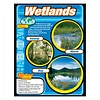 Wetlands*