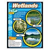 Trend Enterprises Wetlands