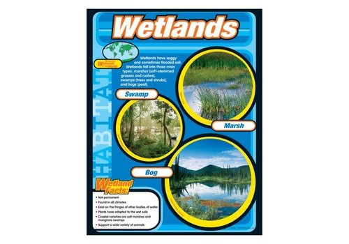 Trend Enterprises Wetlands (D)*