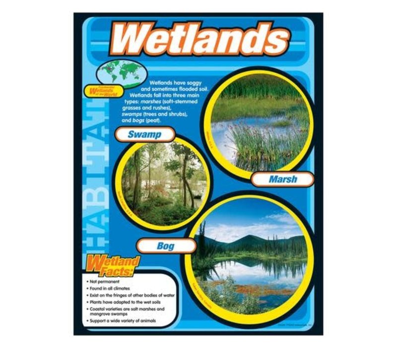 Wetlands (D)*
