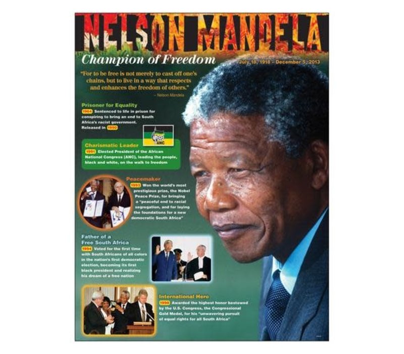 Nelson Mandela Poster (D)*