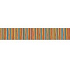 Carson Dellosa Colorful Stripes *(D)