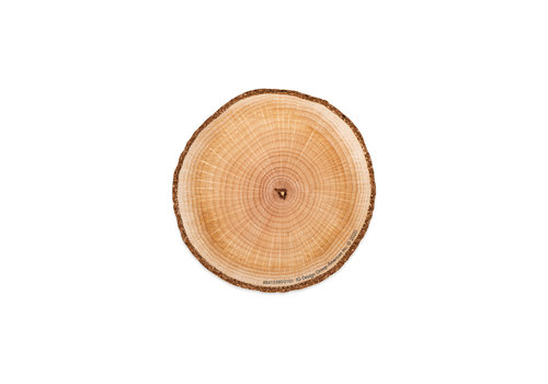 EUREKA A Close-Knit Class Wood  Penny Accents (D)*