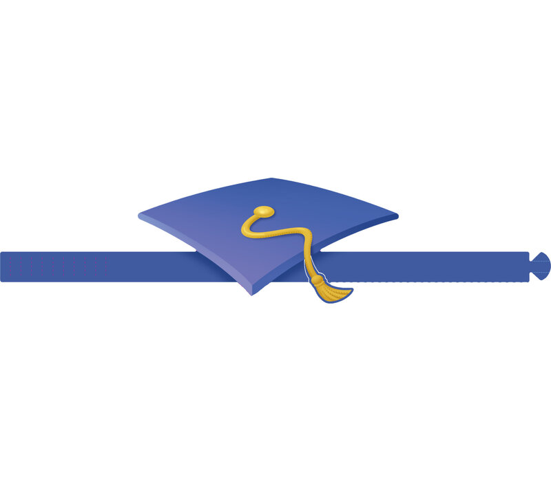 Graduation Wearable Hats (D)*