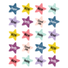 Creative Teaching Press Oh Happy Day Star Rewards Stickers*